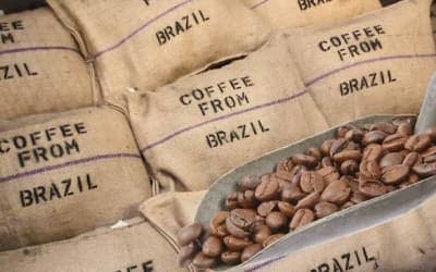 Café brasileiro nas mãos do exterior expõe domínio global no mercado nacional