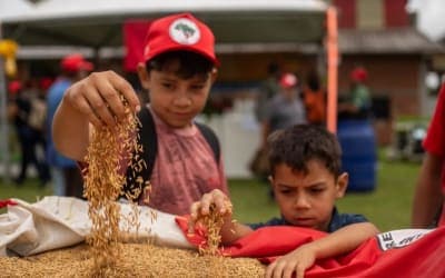 Arroz sem veneno e produção coletiva ganham destaque em festa do MST no RS